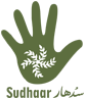 pakistan subgrantee